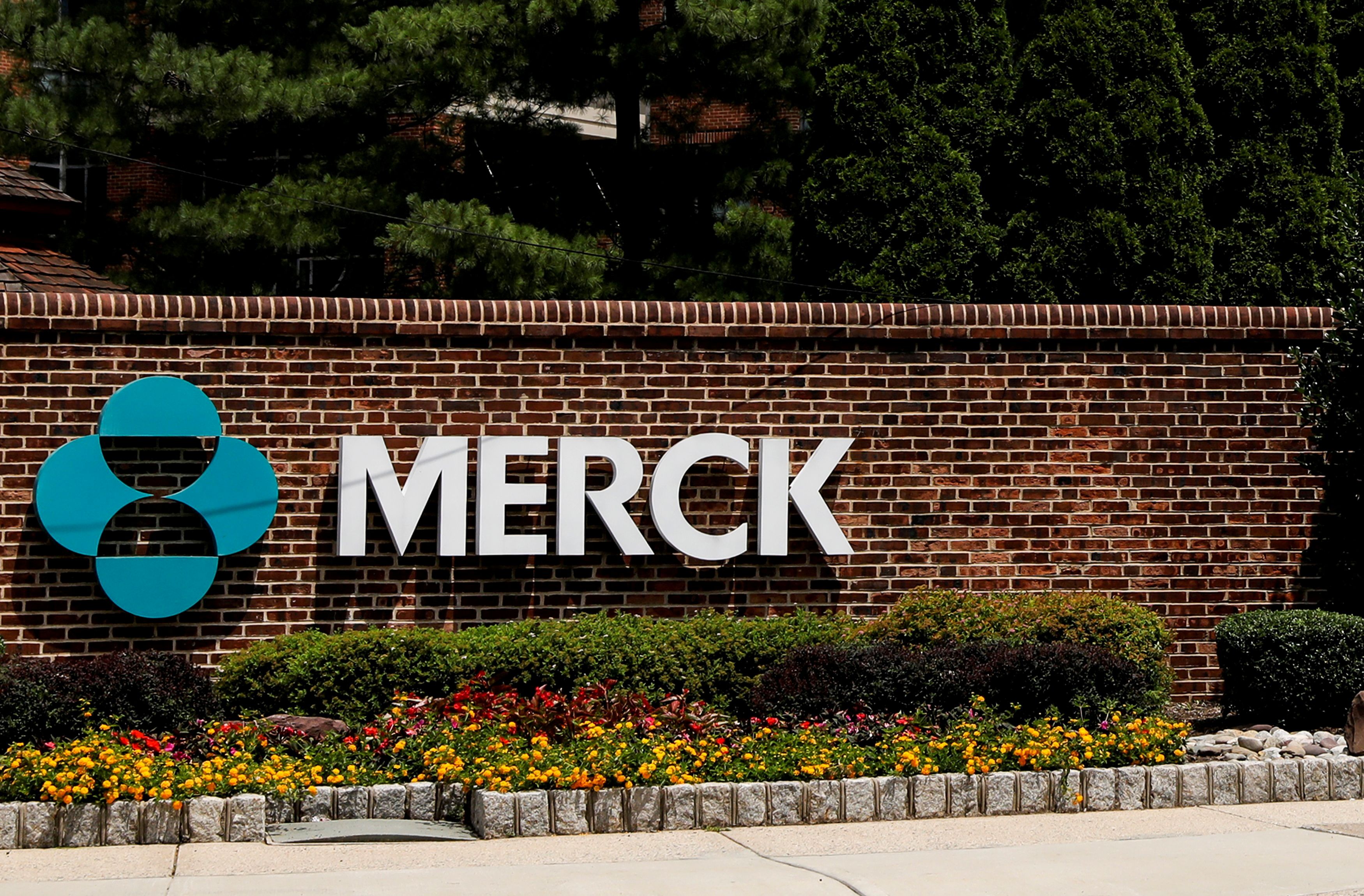 Merck says its COVID-19 pill drastically reduced deaths during trial