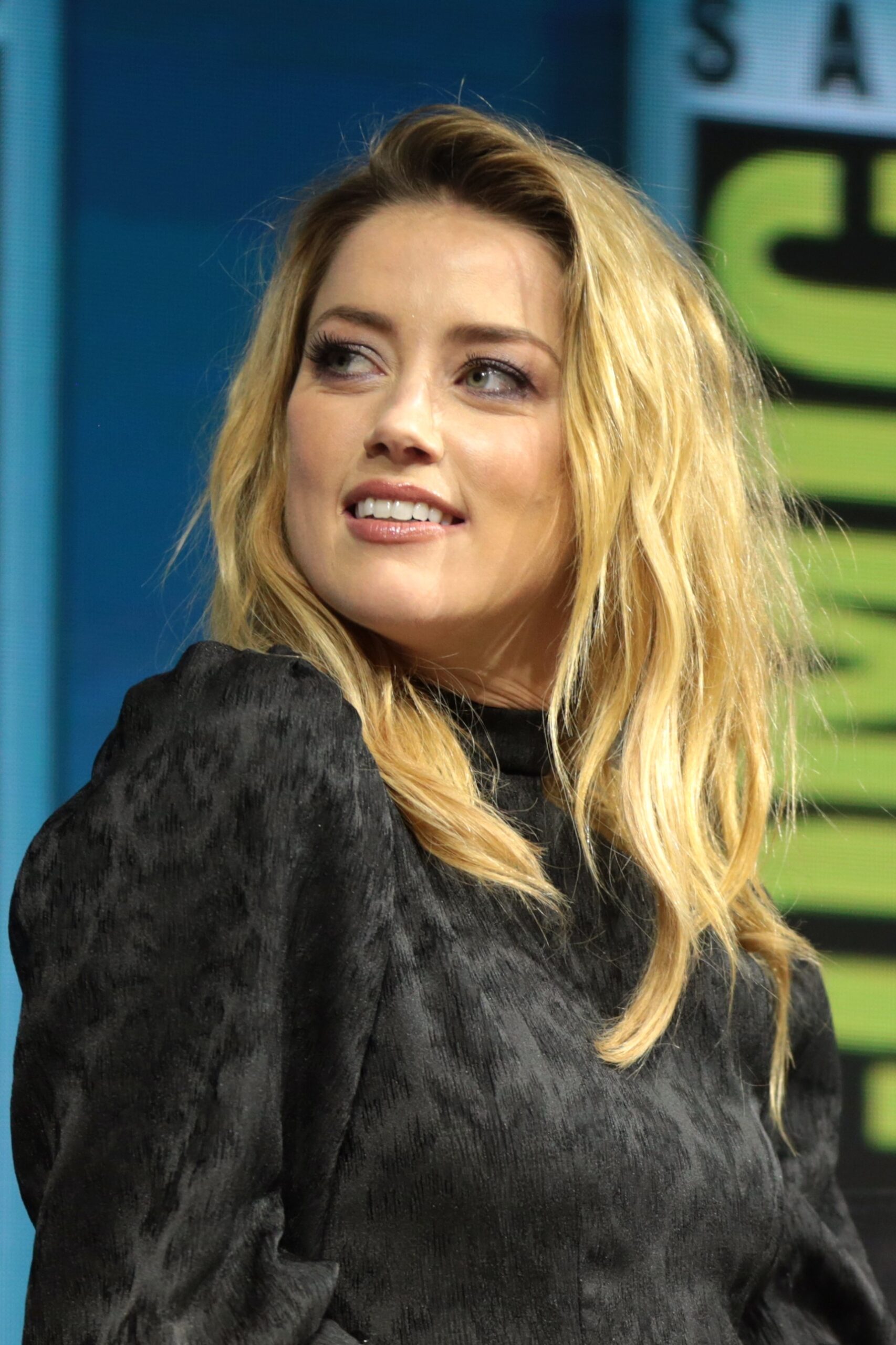 Amber Heard model Wiki ,Bio, Profile, Unknown Facts and Family Details revealed