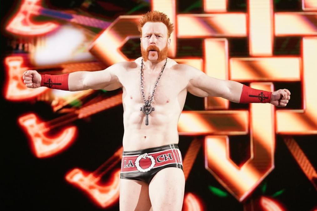 Sheamus WWE Wrestler Net Worth 2022